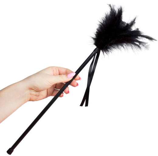 SECRETPLAY - SCHWARZE FEDERN 40 CM