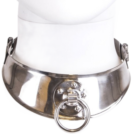 METAL HARD - RÜCKHALTEHALSBAND MIT RING