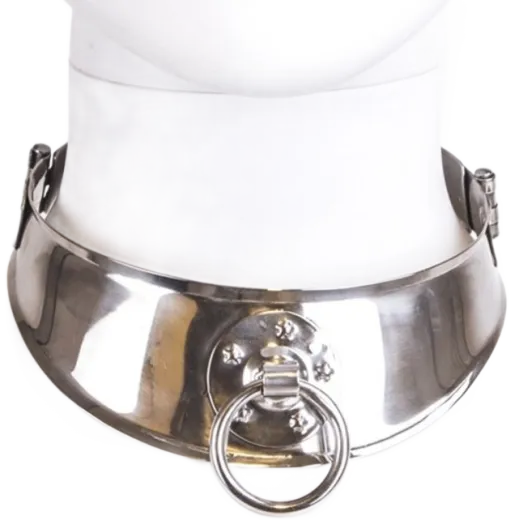 METAL HARD - RÜCKHALTEHALSBAND MIT RING